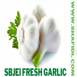 FRESH GARLIC